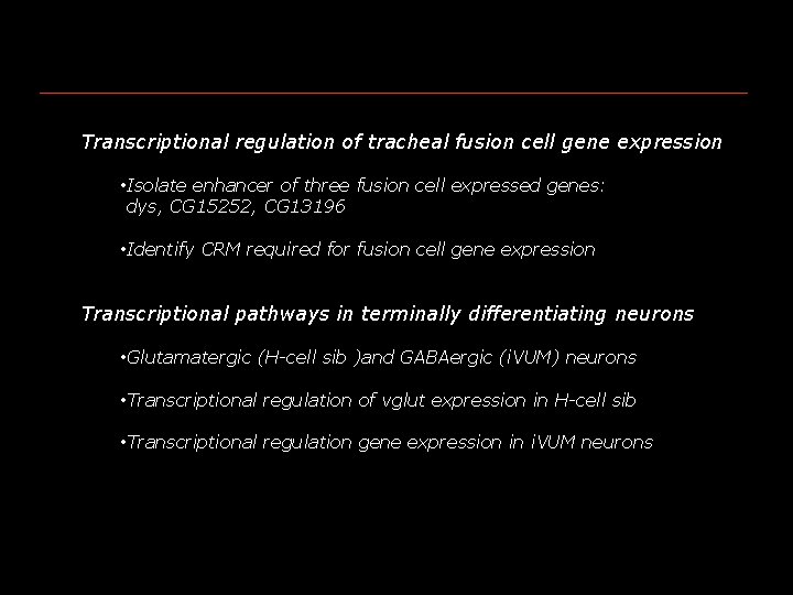 Transcriptional regulation of tracheal fusion cell gene expression • Isolate enhancer of three fusion