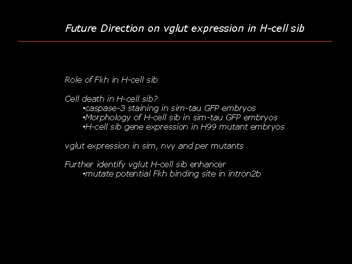 Future Direction on vglut expression in H-cell sib Role of Fkh in H-cell sib