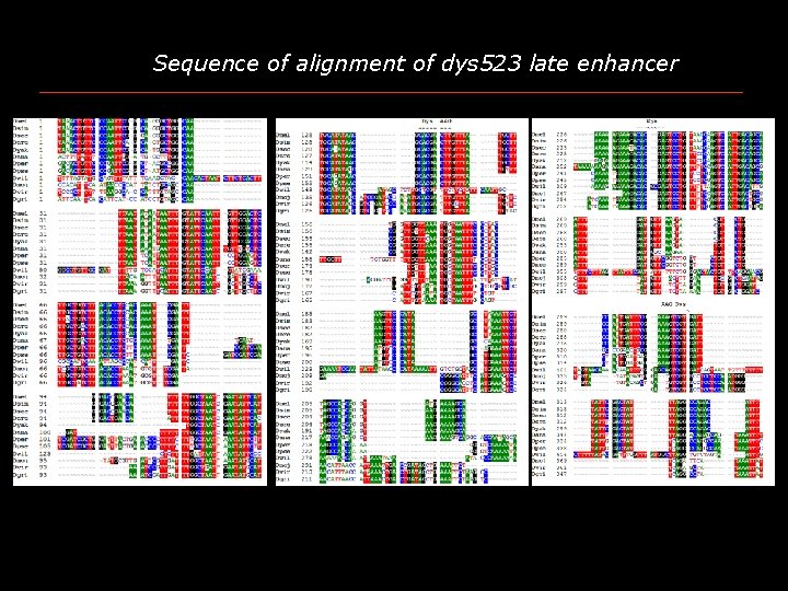 Sequence of alignment of dys 523 late enhancer 