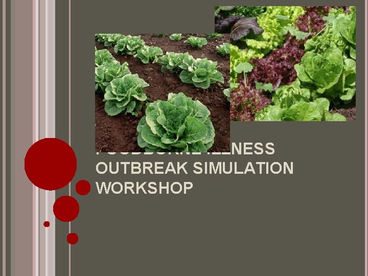 FOODBORNE ILLNESS OUTBREAK SIMULATION WORKSHOP 