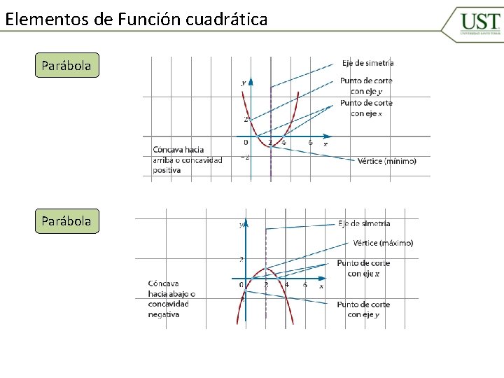 Elementos de Función cuadrática Parábola 