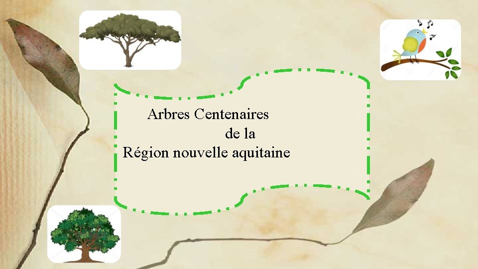 Arbres Centenaires de la Région nouvelle aquitaine 
