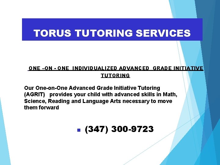 TORUS TUTORING SERVICES ONE –ON - ONE INDIVIDUALIZED ADVANCED GRADE INITIATIVE TUTORING Our One-on-One
