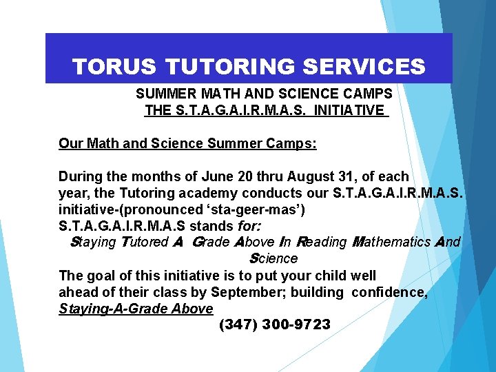 TORUS TUTORING SERVICES SUMMER MATH AND SCIENCE CAMPS THE S. T. A. G. A.