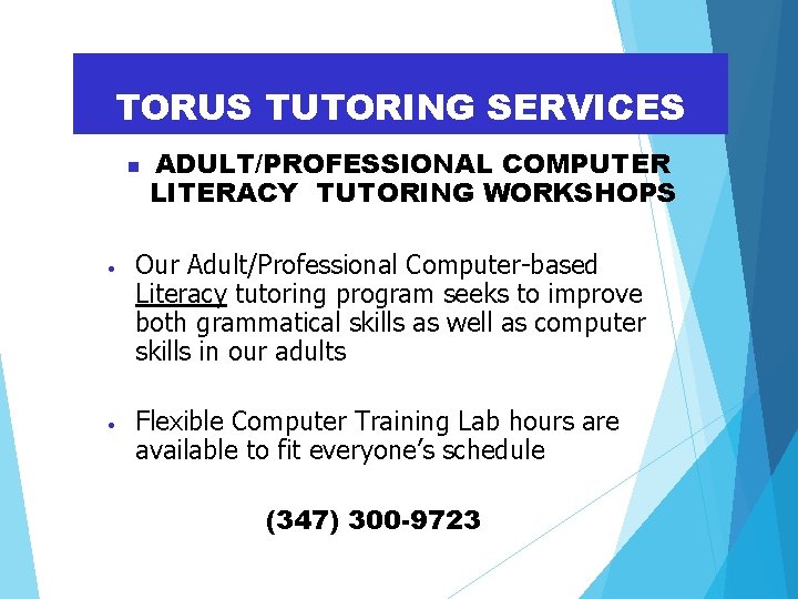 TORUS TUTORING SERVICES • • ADULT/PROFESSIONAL COMPUTER LITERACY TUTORING WORKSHOPS Our Adult/Professional Computer-based Literacy