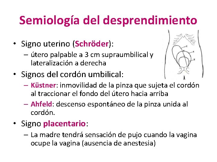 Semiología del desprendimiento • Signo uterino (Schröder): – útero palpable a 3 cm supraumbilical Semiología del desprendimiento • Signo uterino (Schröder): – útero palpable a 3 cm supraumbilical