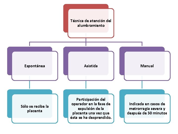 Técnica de atención del alumbramiento Espontánea Asistida Manual Sólo se recibe la placenta Participación Técnica de atención del alumbramiento Espontánea Asistida Manual Sólo se recibe la placenta Participación