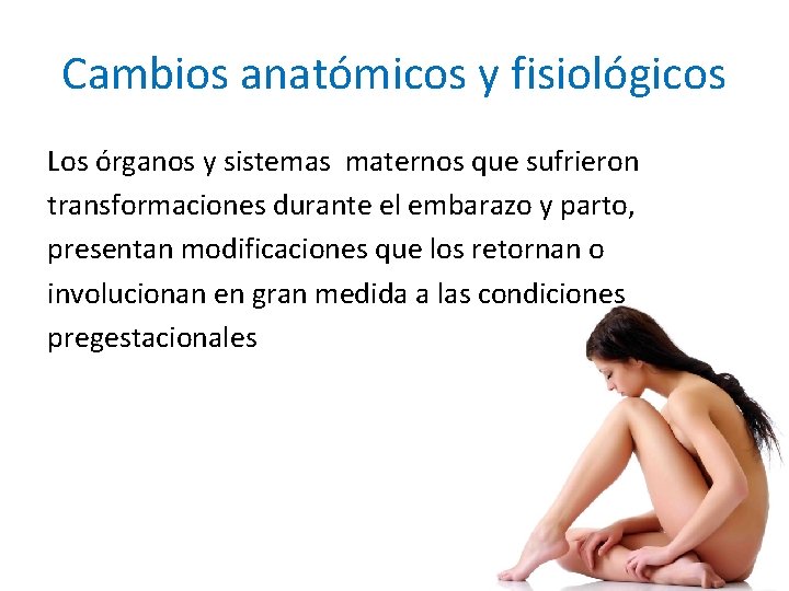 Cambios anatómicos y fisiológicos Los órganos y sistemas maternos que sufrieron transformaciones durante el Cambios anatómicos y fisiológicos Los órganos y sistemas maternos que sufrieron transformaciones durante el