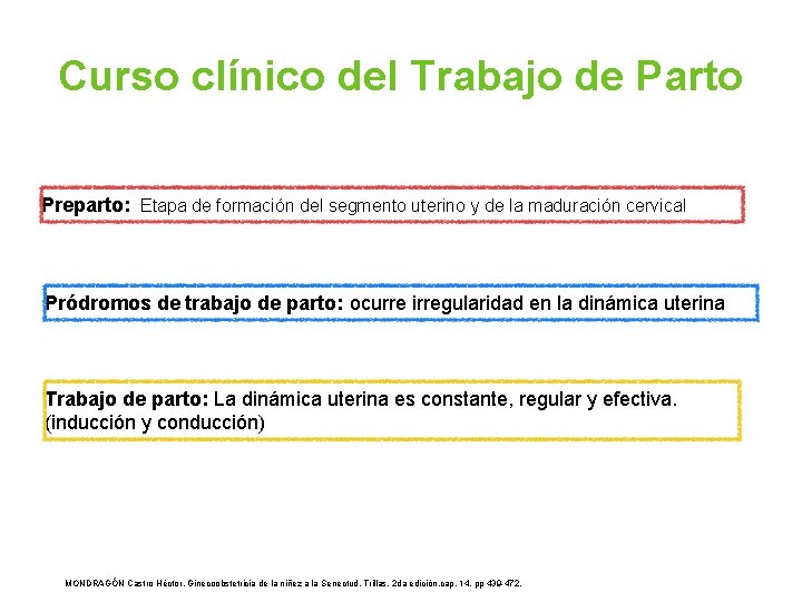 Curso clínico del Trabajo de Parto Preparto: Etapa de formación del segmento uterino y Curso clínico del Trabajo de Parto Preparto: Etapa de formación del segmento uterino y