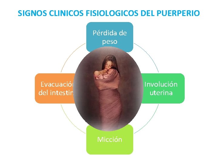 SIGNOS CLINICOS FISIOLOGICOS DEL PUERPERIO Pérdida de peso Evacuación del intestino Involución uterina Micción SIGNOS CLINICOS FISIOLOGICOS DEL PUERPERIO Pérdida de peso Evacuación del intestino Involución uterina Micción