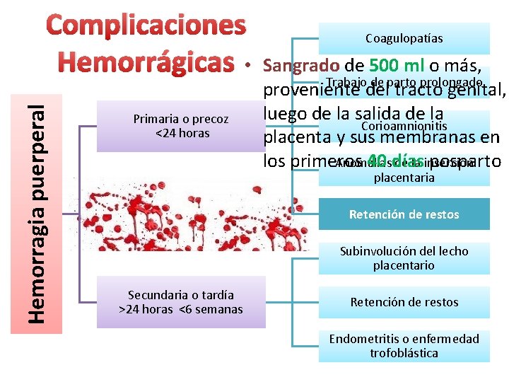 Hemorragia puerperal Complicaciones Hemorrágicas • Primaria o precoz <24 horas Coagulopatías Sangrado de 500 Hemorragia puerperal Complicaciones Hemorrágicas • Primaria o precoz <24 horas Coagulopatías Sangrado de 500