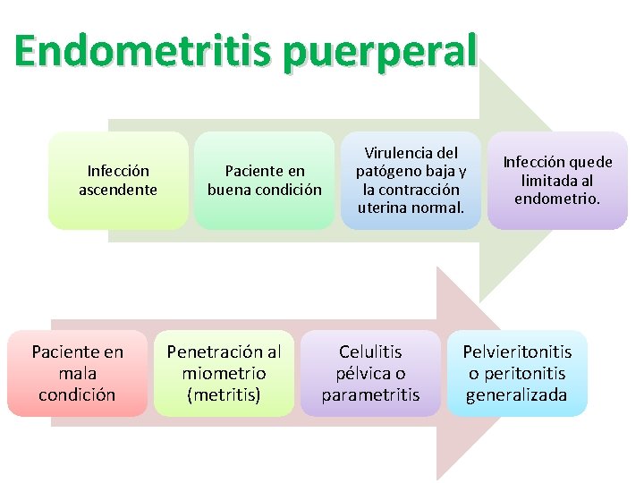 Endometritis puerperal Infección ascendente Paciente en mala condición Paciente en buena condición Penetración al Endometritis puerperal Infección ascendente Paciente en mala condición Paciente en buena condición Penetración al