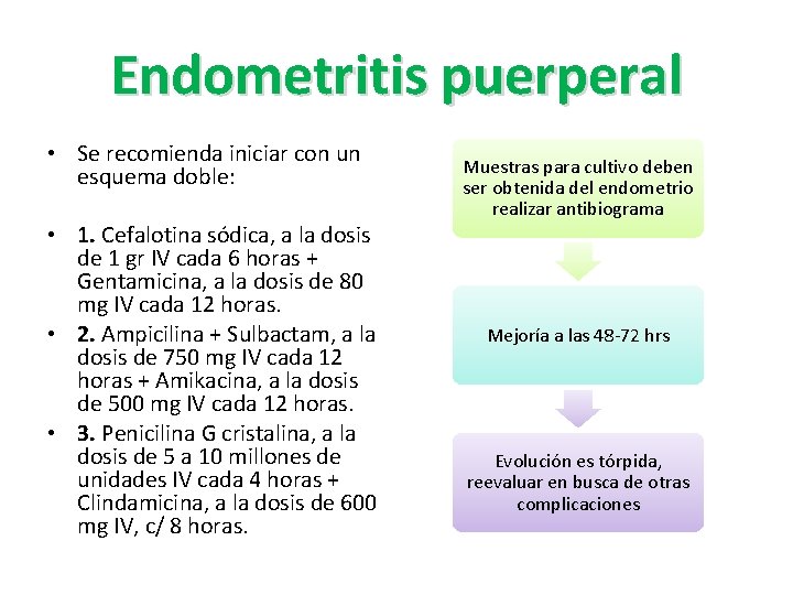 Endometritis puerperal • Se recomienda iniciar con un esquema doble: • 1. Cefalotina sódica, Endometritis puerperal • Se recomienda iniciar con un esquema doble: • 1. Cefalotina sódica,