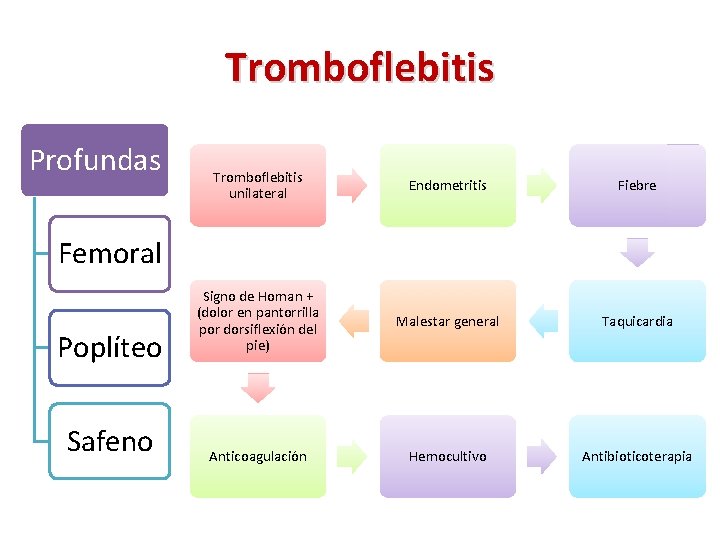 Tromboflebitis Profundas Tromboflebitis unilateral Endometritis Fiebre Signo de Homan + (dolor en pantorrilla por Tromboflebitis Profundas Tromboflebitis unilateral Endometritis Fiebre Signo de Homan + (dolor en pantorrilla por