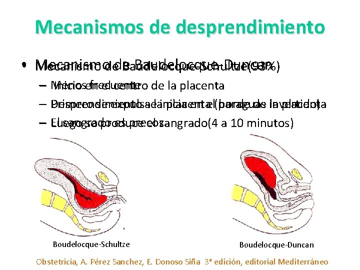 Mecanismos de desprendimiento • Mecanismo Baudelocque-Duncan Mecanismo dede Baudelocque-Schultze(93%) – Menos frecuente Inicio en Mecanismos de desprendimiento • Mecanismo Baudelocque-Duncan Mecanismo dede Baudelocque-Schultze(93%) – Menos frecuente Inicio en