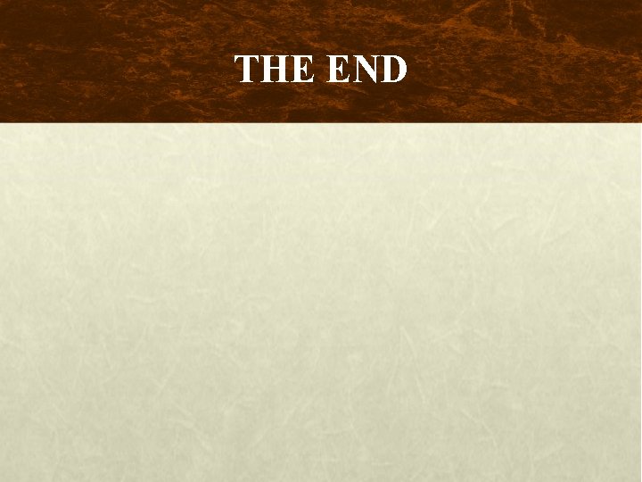 THE END 