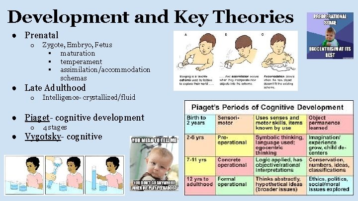 Development and Key Theories ● Prenatal o Zygote, Embryo, Fetus § maturation § temperament