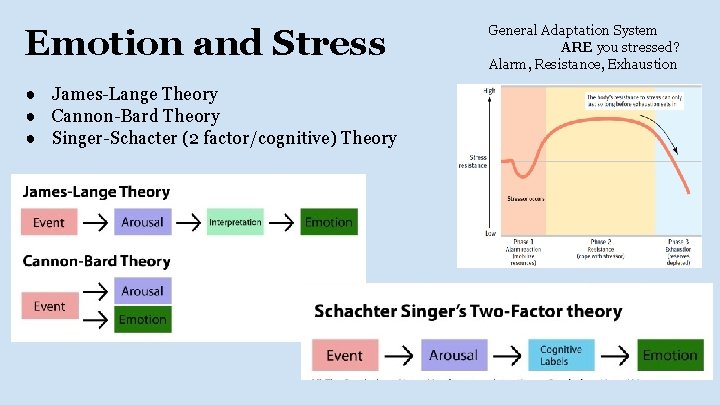 Emotion and Stress ● James-Lange Theory ● Cannon-Bard Theory ● Singer-Schacter (2 factor/cognitive) Theory