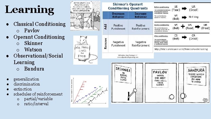 Learning ● Classical Conditioning o Pavlov ● Operant Conditioning o Skinner o Watson ●