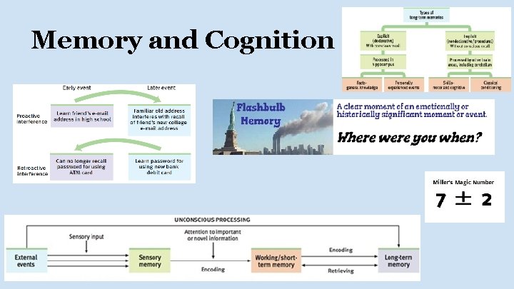 Memory and Cognition 