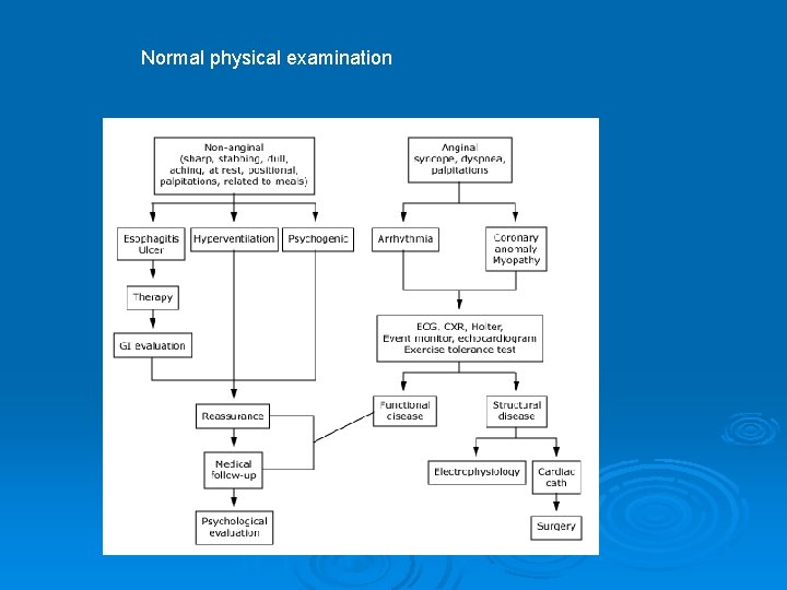 Normal physical examination Normal physical examination