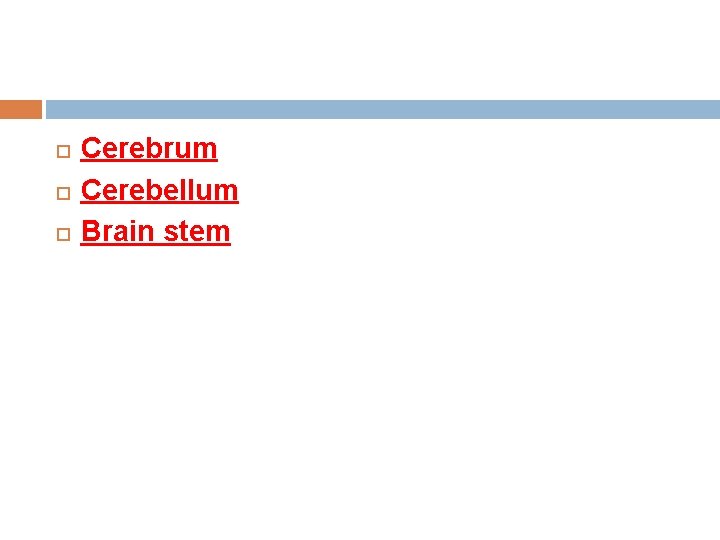 Cerebrum Cerebellum Brain stem Cerebrum Cerebellum Brain stem