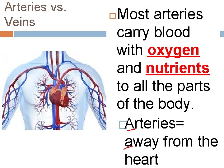 Arteries vs. Veins Most arteries carry blood with oxygen and nutrients to all the Arteries vs. Veins Most arteries carry blood with oxygen and nutrients to all the