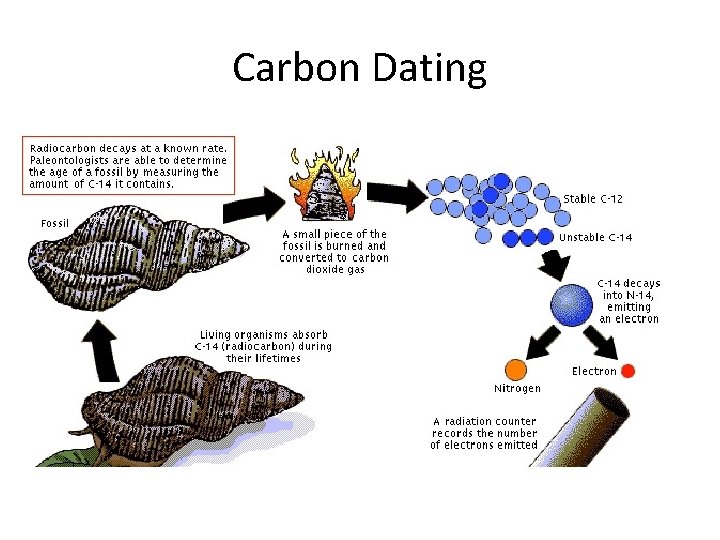 Carbon Dating 