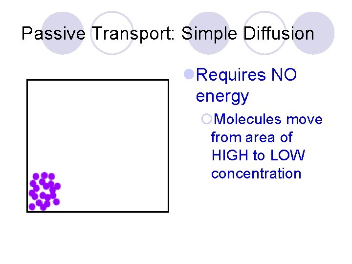 Passive Transport: Simple Diffusion l. Requires NO energy ¡Molecules move from area of HIGH