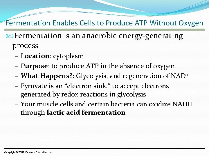 Fermentation Enables Cells to Produce ATP Without Oxygen Fermentation is an anaerobic energy-generating process