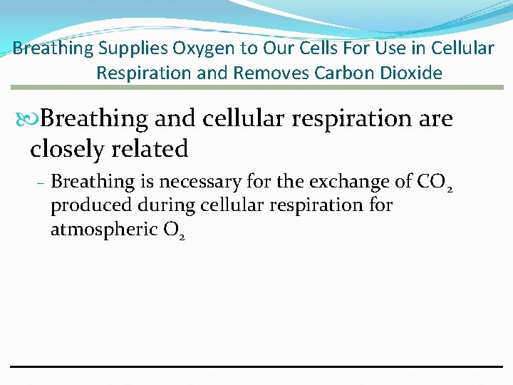 Breathing Supplies Oxygen to Our Cells For Use in Cellular Respiration and Removes Carbon