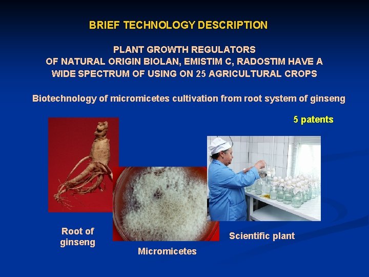 BRIEF TECHNOLOGY DESCRIPTION PLANT GROWTH REGULATORS OF NATURAL ORIGIN BIOLAN, EMISTIM C, RADOSTIM HAVE