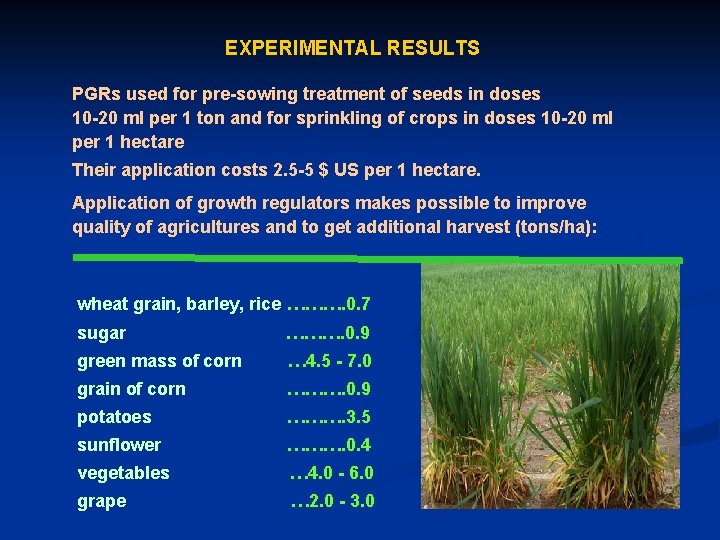 EXPERIMENTAL RESULTS PGRs used for pre-sowing treatment of seeds in doses 10 -20 ml