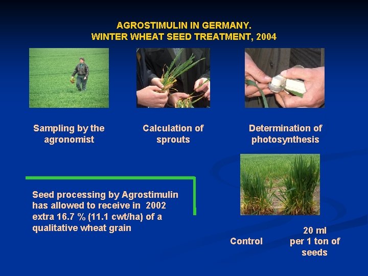 AGROSTIMULIN IN GERMANY. WINTER WHEAT SEED TREATMENT, 2004 Sampling by the agronomist Calculation of