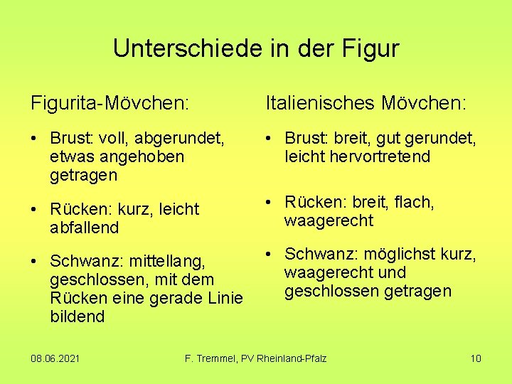 Unterschiede in der Figurita-Mövchen: Italienisches Mövchen: • Brust: voll, abgerundet, etwas angehoben getragen •