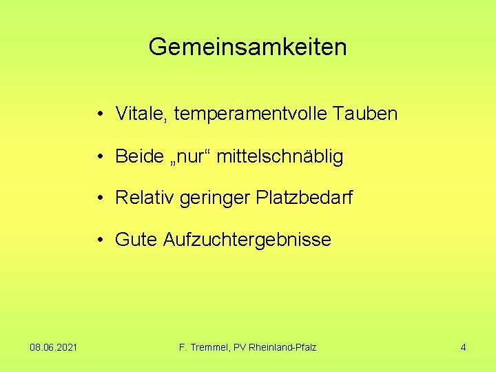 Gemeinsamkeiten • Vitale, temperamentvolle Tauben • Beide „nur“ mittelschnäblig • Relativ geringer Platzbedarf •