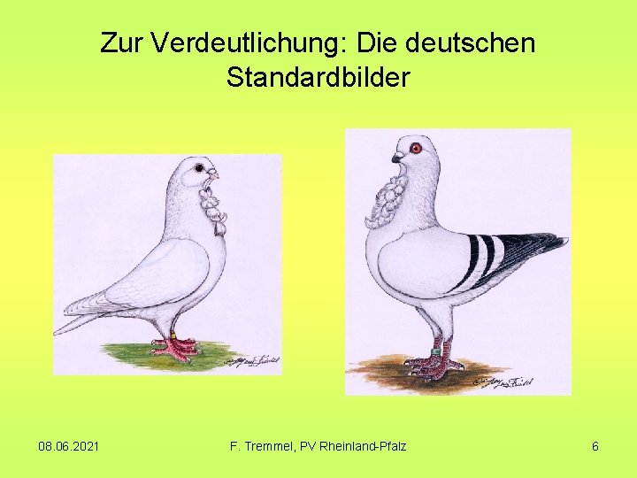 Zur Verdeutlichung: Die deutschen Standardbilder 08. 06. 2021 F. Tremmel, PV Rheinland-Pfalz 6 