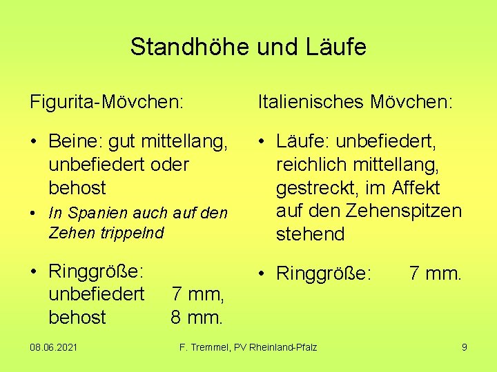 Standhöhe und Läufe Figurita-Mövchen: Italienisches Mövchen: • Beine: gut mittellang, unbefiedert oder behost • Standhöhe und Läufe Figurita-Mövchen: Italienisches Mövchen: • Beine: gut mittellang, unbefiedert oder behost •