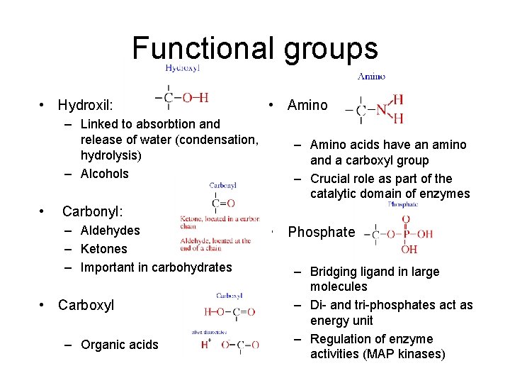 Functional groups • Hydroxil: – Linked to absorbtion and release of water (condensation, hydrolysis) Functional groups • Hydroxil: – Linked to absorbtion and release of water (condensation, hydrolysis)