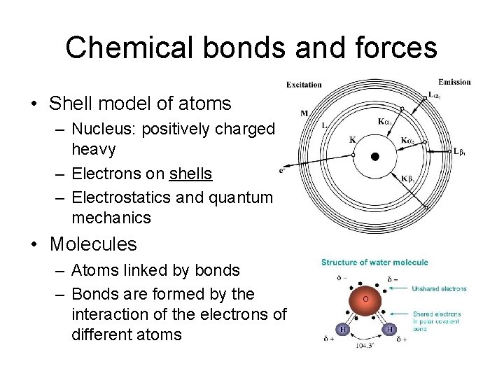 Chemical bonds and forces • Shell model of atoms – Nucleus: positively charged, heavy Chemical bonds and forces • Shell model of atoms – Nucleus: positively charged, heavy