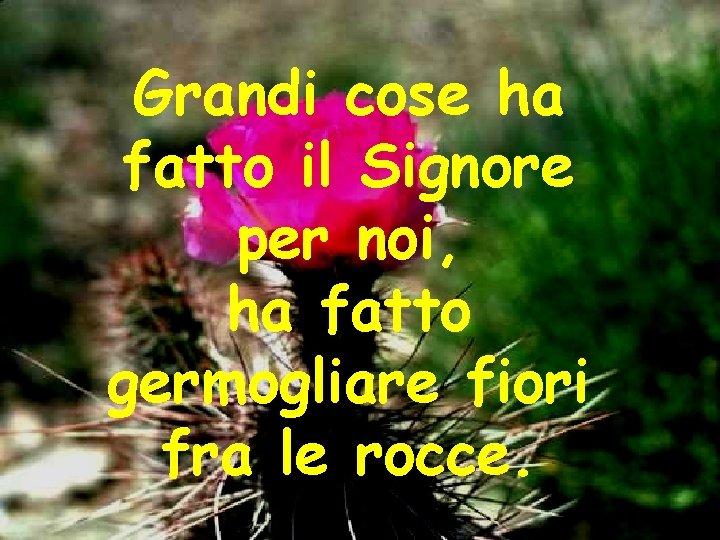 Grandi cose ha fatto il Signore per noi, ha fatto germogliare fiori fra le