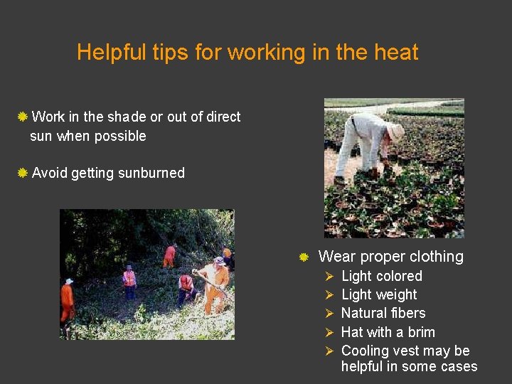 Helpful tips for working in the heat Work in the shade or out of
