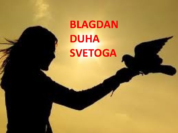 BLAGDAN DUHA SVETOGA 