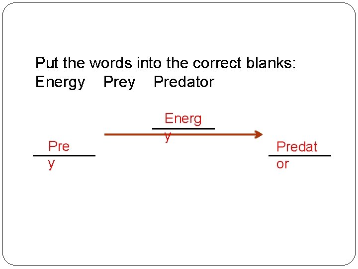 Put the words into the correct blanks: Energy Predator Pre y Energ y Predat