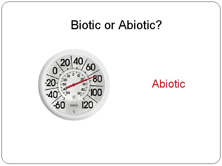 Biotic or Abiotic? Abiotic 