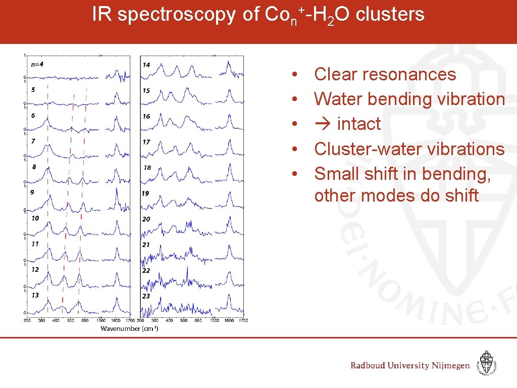 IR spectroscopy of Con+-H 2 O clusters • • • Clear resonances Water bending