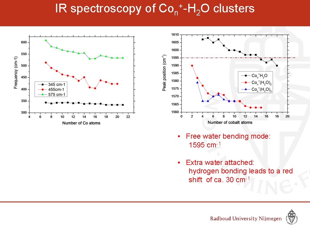 IR spectroscopy of Con+-H 2 O clusters Wave number (cm-1) • Free water bending