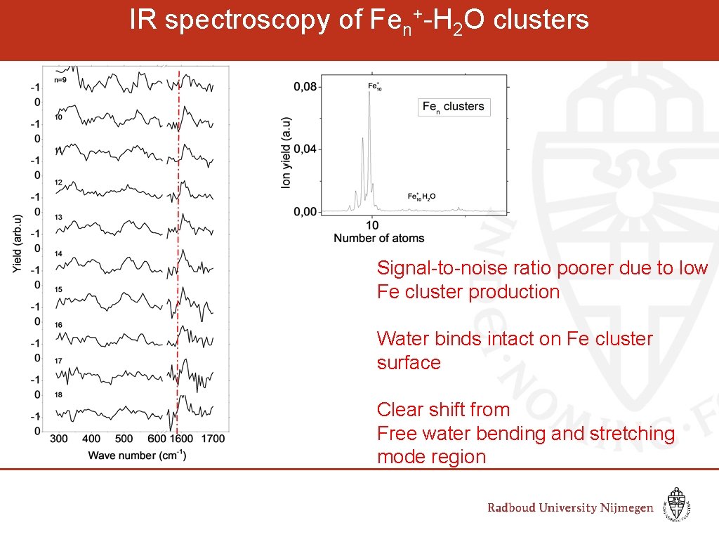IR spectroscopy of Fen+-H 2 O clusters Signal-to-noise ratio poorer due to low Fe