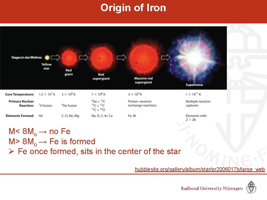 Origin of Iron M< 8 Mo → no Fe M> 8 Mo → Fe