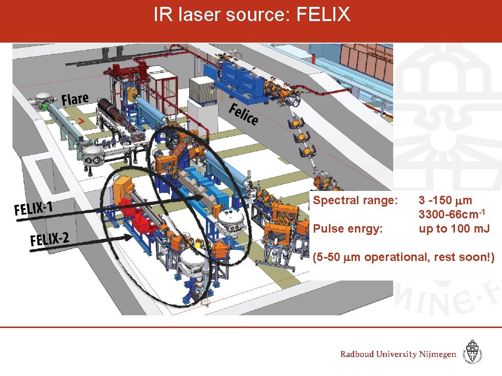IR laser source: FELIX Inter-Cavity Spectral range: Pulse enrgy: 3 -150 mm 3300 -66